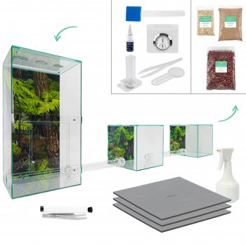 ANTCUBE - Starter Set für Blattschneiderarten - groß